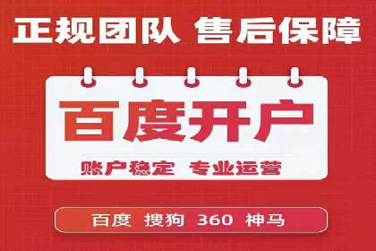 SEM代理案例：揭秘成功背后的秘密
